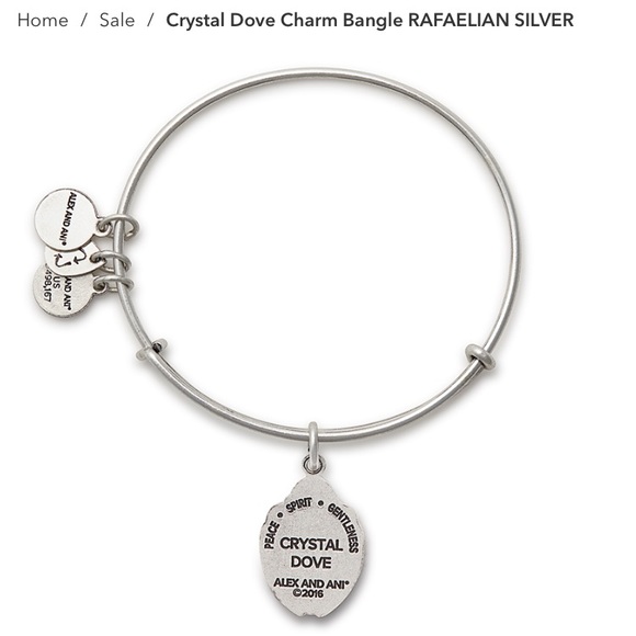 Alex and Ani Charm Bangle - Picture 3 of 4
